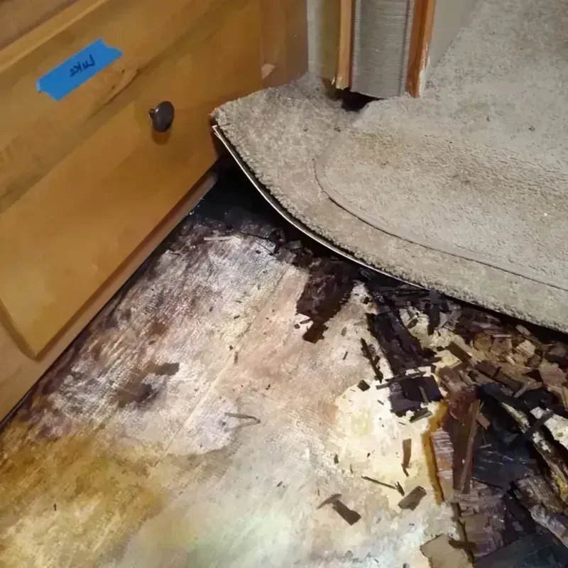 Wood Floor Water Damage in Coopersville, MI